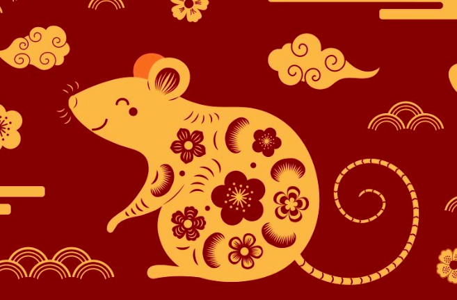 Tử vi người tuổi Tý năm 2020